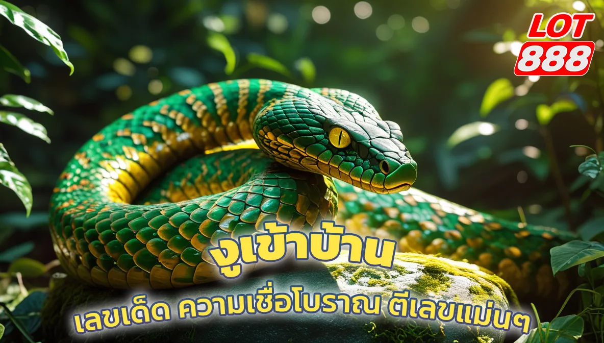 งูเข้าบ้าน เลขเด็ด ความเชื่อโบราณ ตีเลขแม่นๆ 1 งูเข้าบ้าน งูเข้าบ้าน เลขเด็ด ความเชื่อโบราณ ตีเลขแม่นๆ