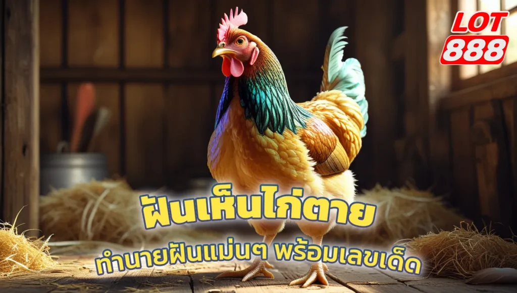 ฝันเห็นไก่ตาย ทำนายฝันแม่นๆ พร้อมเลขเด็ดโชคลาภ 2025 1 ฝันเห็นไก่ตาย ฝันเห็นไก่ตาย